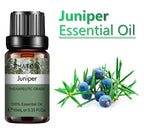 10 Ml Lavender Essential Oil