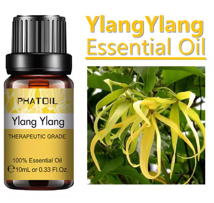 10 Ml Lavender Essential Oil