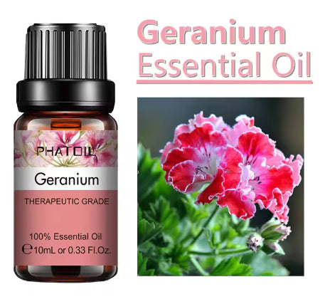 10 Ml Lavender Essential Oil