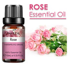 10 Ml Lavender Essential Oil