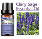 10 Ml Lavender Essential Oil
