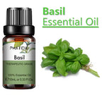 10 Ml Lavender Essential Oil