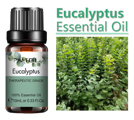 10 Ml Lavender Essential Oil