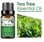 10 Ml Lavender Essential Oil