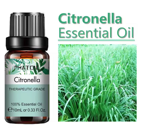10 Ml Lavender Essential Oil