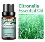 10 Ml Lavender Essential Oil
