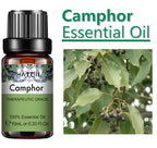 10 Ml Lavender Essential Oil