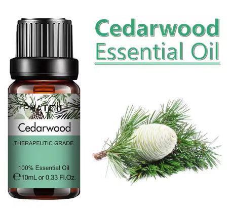 10 Ml Lavender Essential Oil