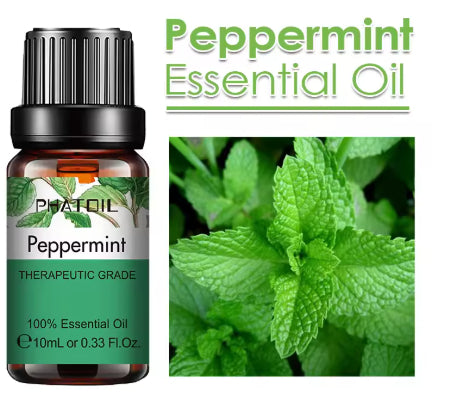 10 Ml Lavender Essential Oil
