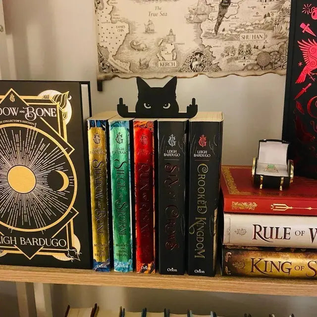 Gato Negro Travieso 🐱🖕🏿